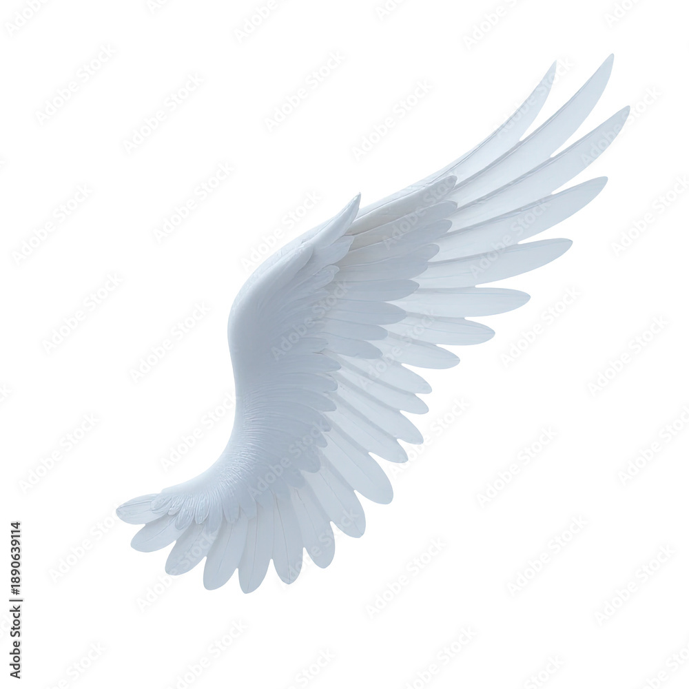 Obraz premium A small white bird soaring through the air