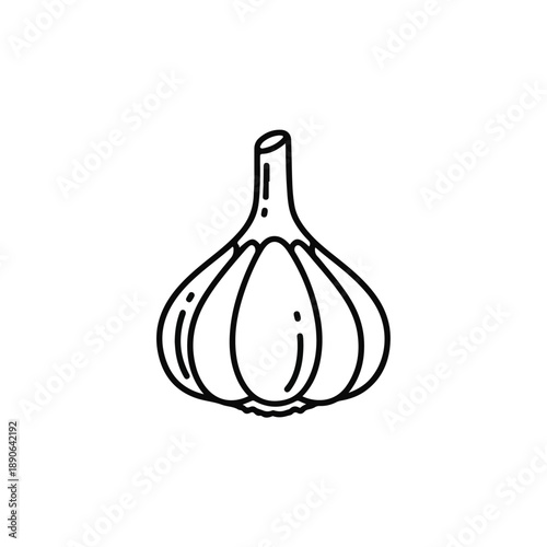 Garlic bulb isolated