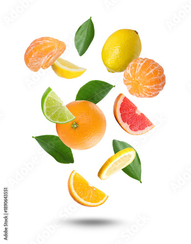Different fresh citrus fruits falling on white background © New Africa