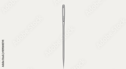 A Single Sewing Needle with a Sharp Point and Eye.
