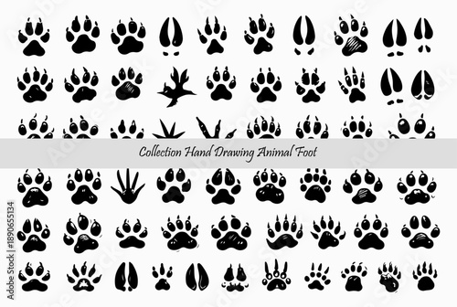 Animal footprint collection with paw, bird, pet, wildlife, hoof, and amphibian track silhouettes