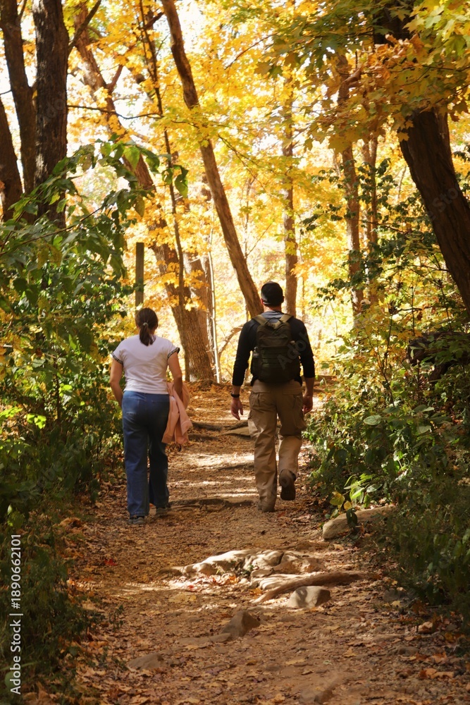 Fototapeta premium A couple is walking along a forest path on a sunny day, viewed from behind.