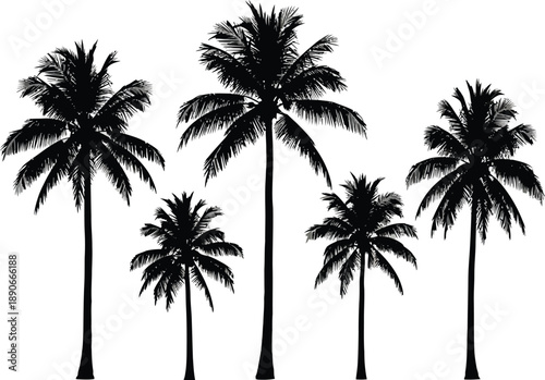 Black silhouettes of five palm trees with lush leaves