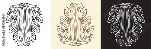 Set of engraving antique leaves design element and illustration
