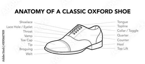 Oxford shoe anatomy diagram line. Shoelace, lace hole and toe cap construction for training, branding project and documentation. Technical fashion illustration CAD mockup mixed vector women men unisex