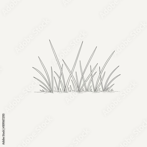 Line drawing of grass blades on a light background.