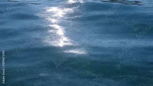 Nature's Calm Serene