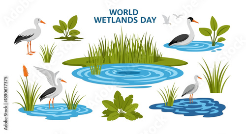 Vector illustration of wetland animals and plants on World Wetlands Day with a character design for America, featuring a stylized depiction of a wetland ecosystem.