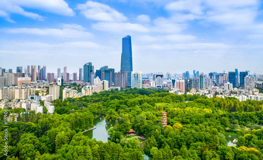 Fototapeta premium Wuhan City Skyline and Green Forest Landscape