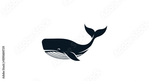 Black Whale Illustration Silhouette Ocean Mammal.