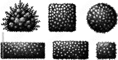 Black silhouette hedge and bush set illustration, garden landscape shrub shapes in vintage engraved style, isolated botanical design elements for landscaping, decoration, and graphic branding use