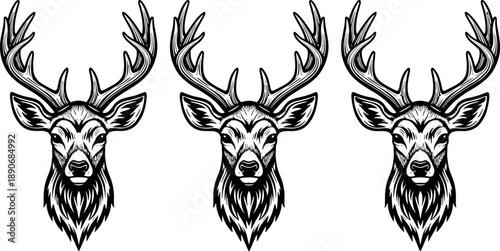 Deer head line art illustration set featuring majestic stag with antlers, detailed black and white wildlife emblem collection isolated on white background for hunting, nature and logo design