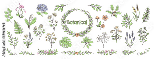 やさしい手描きボタニカルカラーイラストセット｜Soft hand drawn botanical color illustrations flowers and plants vector