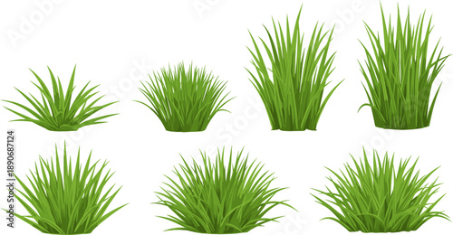 Green grass bush collection illustration featuring various lawn and meadow plants, realistic fresh vegetation vector set isolated for landscaping, gardening, nature design, and environmental projects