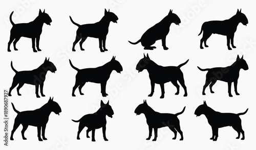 A collection of bull terrier silhouettes depicting various poses and perspectives