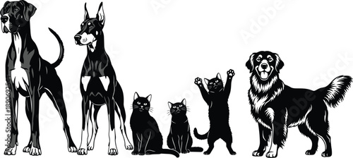 Black and white vector illustration of domestic pets including dogs and cats standing sitting playing isolated silhouettes on clean background