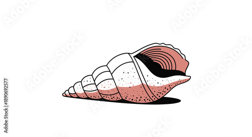 A stylized illustration of a pink and white spiral conch shell with stippling details isolated on a white background.
