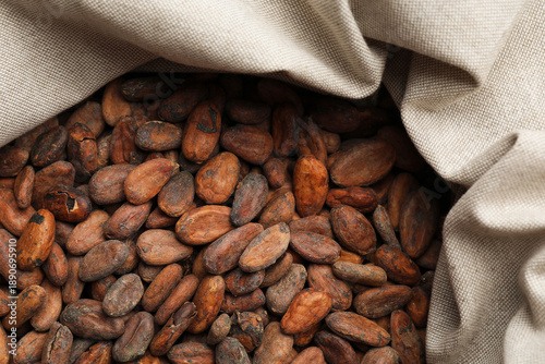 Fresh cocoa beans in sack, top view