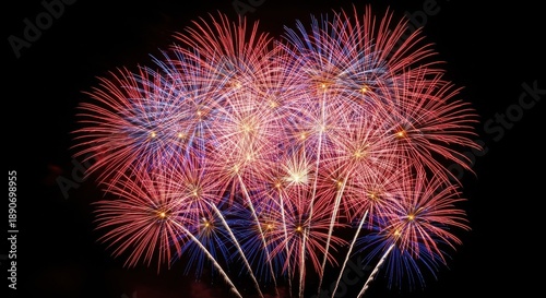 Colorful Fireworks Exploding Night Sky