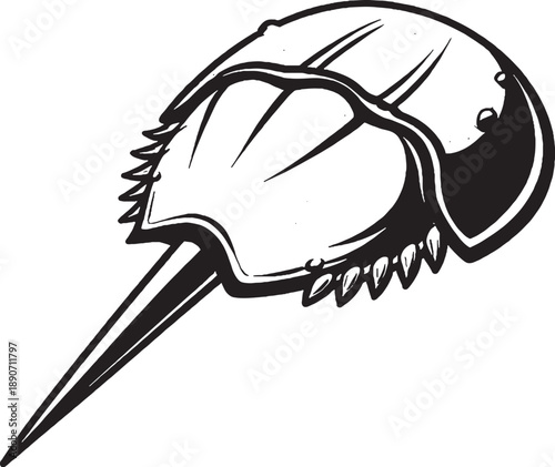Horseshoe Crab Black and White 3D Lite Line Art Illustration