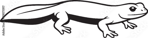 Foto Estuarine Newt Black and White Line Art