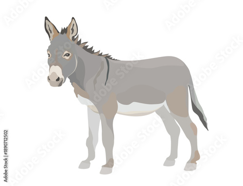 Cute cartoon Donkey illustration. Vector hand drawn funny farm animal isolated on white background.