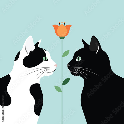 A black cat and a piebald cat in a minimalist illustration facing each other over a single orange flower.