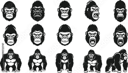 Angry Gorilla Mascot Head and Full Body Vector Illustrations Set Isolated on White Background for Sports Logos Gaming and Branding