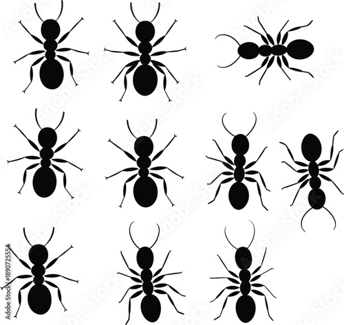Large collection of black ant silhouettes top view isolated on white background for nature entomology and pest control concepts