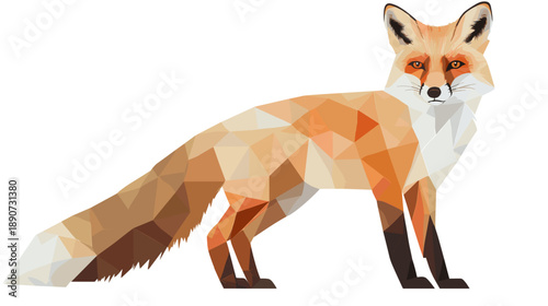 Geometric Low Poly Red Fox Illustration.