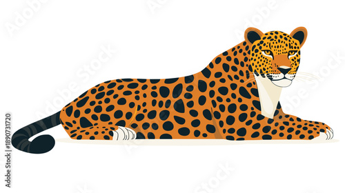 Leopard Lying Down with Head Turned.