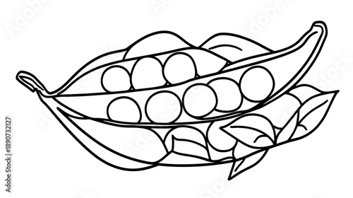 Pea Pods with Peas Inside Illustration.