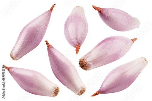 Photos a collection of seven whole shallots, peeled and isolated on a transparent background, presented in a dynamic overhead arrangement suggesting freshness and culinary use