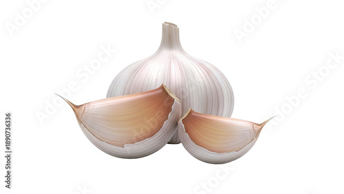 Garlic Bulb and Cloves