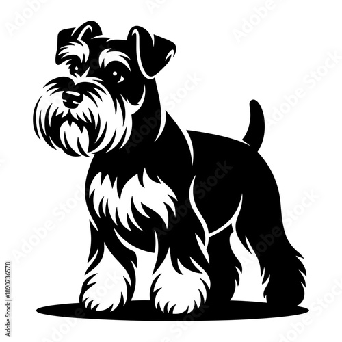 Miniature Schnauzer