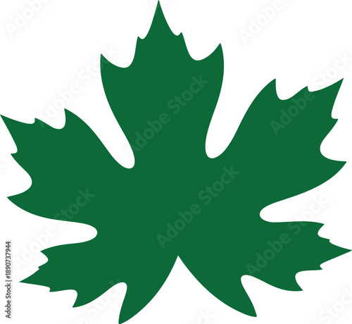 Leaf Silhouette – Tree Leaf Vector Black on White”