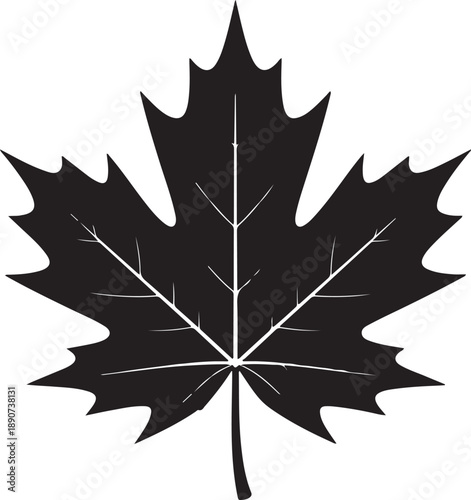 Leaf Silhouette – Tree Leaf Vector Black on White”