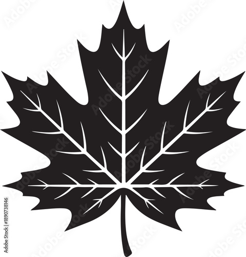 Leaf Silhouette – Tree Leaf Vector Black on White”