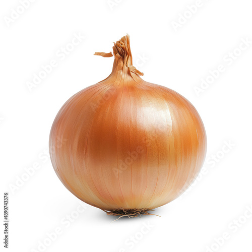 Wallpaper Mural A yellow onion with its skin intact, sitting on a kitchen counter. full length isolate on transparent background Torontodigital.ca