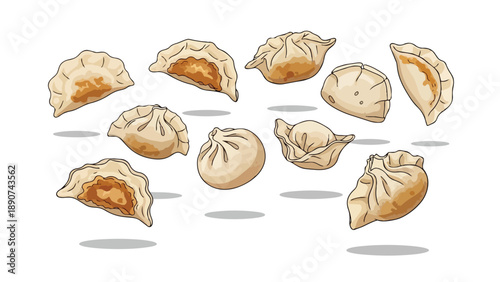 Delicious various asian dumplings in whimsical cartoon style showcasing diverse shapes and savory fillings an ideal graphic resource for culinary