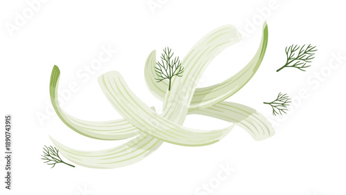 Freshly sliced fennel pieces with delicate dill sprigs scattered elegantly