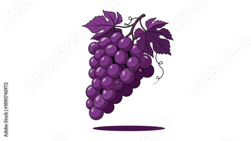 Vibrant purple grape cluster illustration featuring lush leaves and elegant tendrils, depicting fresh fruit readiness in a clean, bright, white
