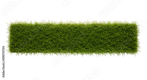 Rectangular strip of lush green grass, perfect for design elements, borders, or landscaping concepts, isolated on black.