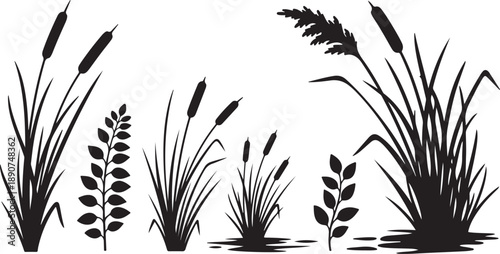 Black silhouettes of various cattails and water plants illustration