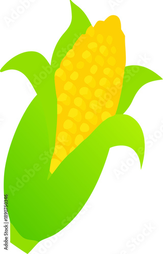 Peeled corn ears. corn vector yellow fruit