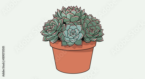 Charming succulent arrangement in terracotta pot evokes tranquility and natural beauty