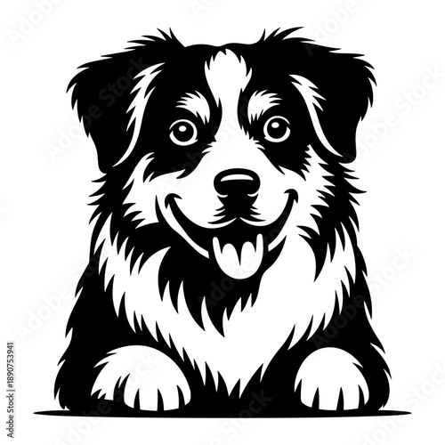 Miniature American Shepherd