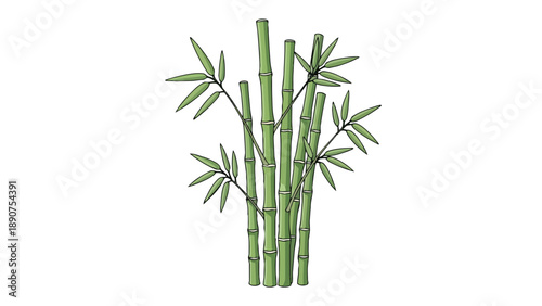 Lush green bamboo stalks with delicate leaves digital illustration showcasing natural growth and tranquility peaceful botanical graphic for