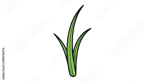 Lush green blades of grass cartoon style on a pristine white background