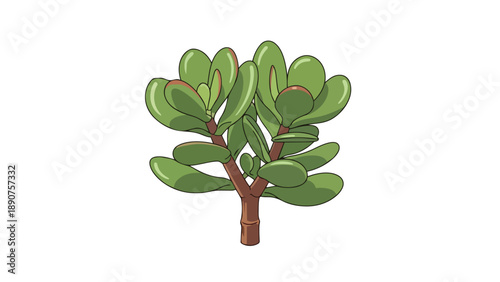 A charming digital illustration of a robust jade plant, showcasing its distinctive thick green leaves and sturdy brown stem, perfect for